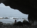 NFLD_drive_to_and-viking_settlement 770